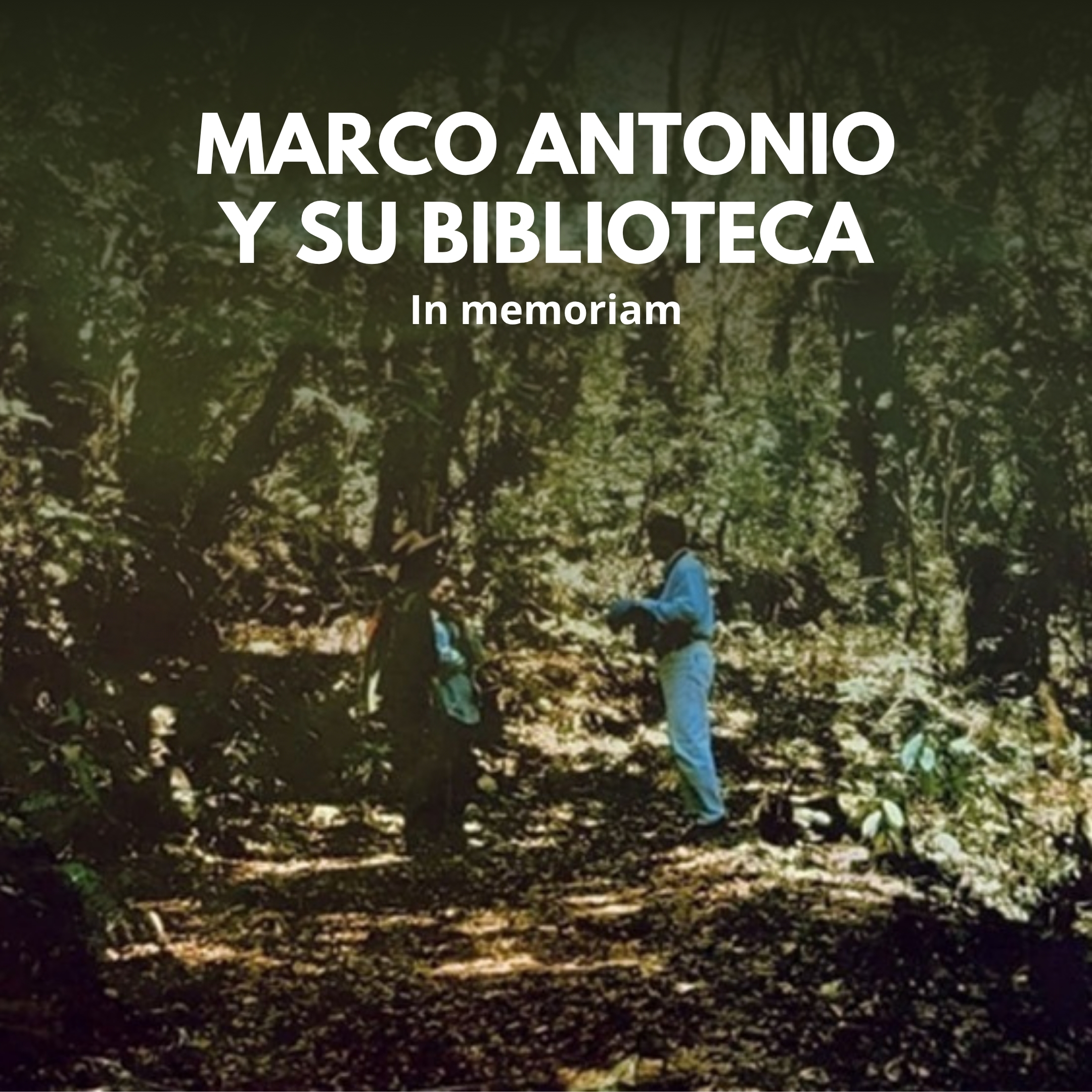 In memoriam-Marco Antonio y su biblioteca
